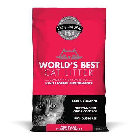 best dust free cat litter|10 Best Dust Free Cat Litters in 2024 – Reviews & Top Picks .